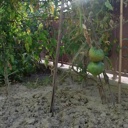 Eden Apartamento Montefalco