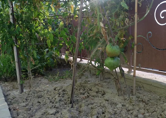 Eden Apartament Montefalco